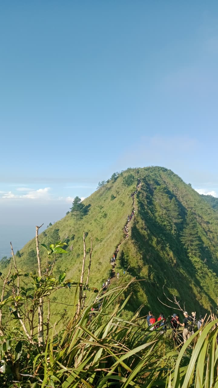 whatsapp image 2025 11 21 at 3.40.04 pm (2)